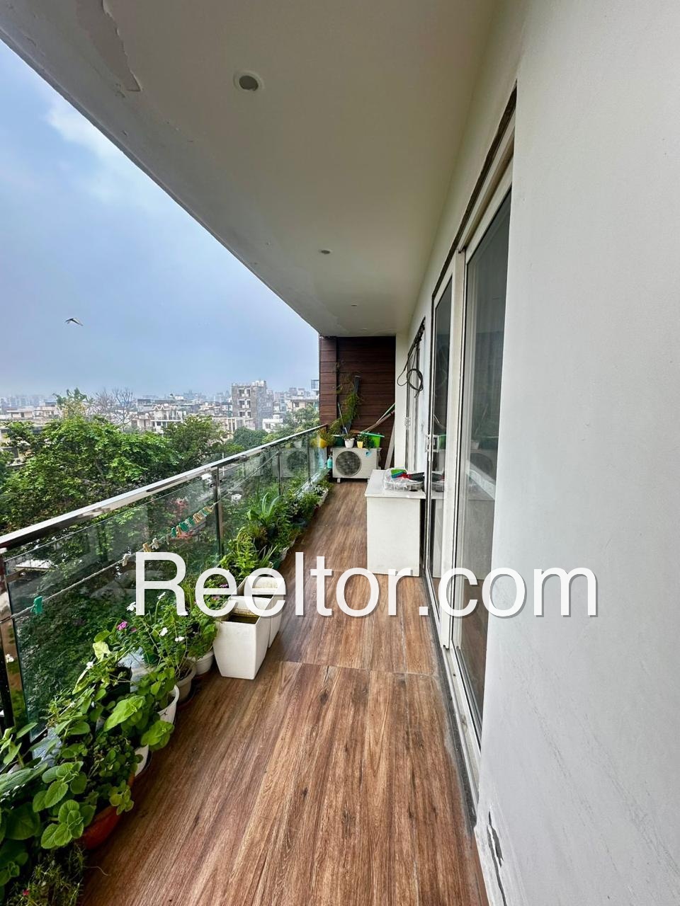 Shop For Sale In Dedoosar Chohtan