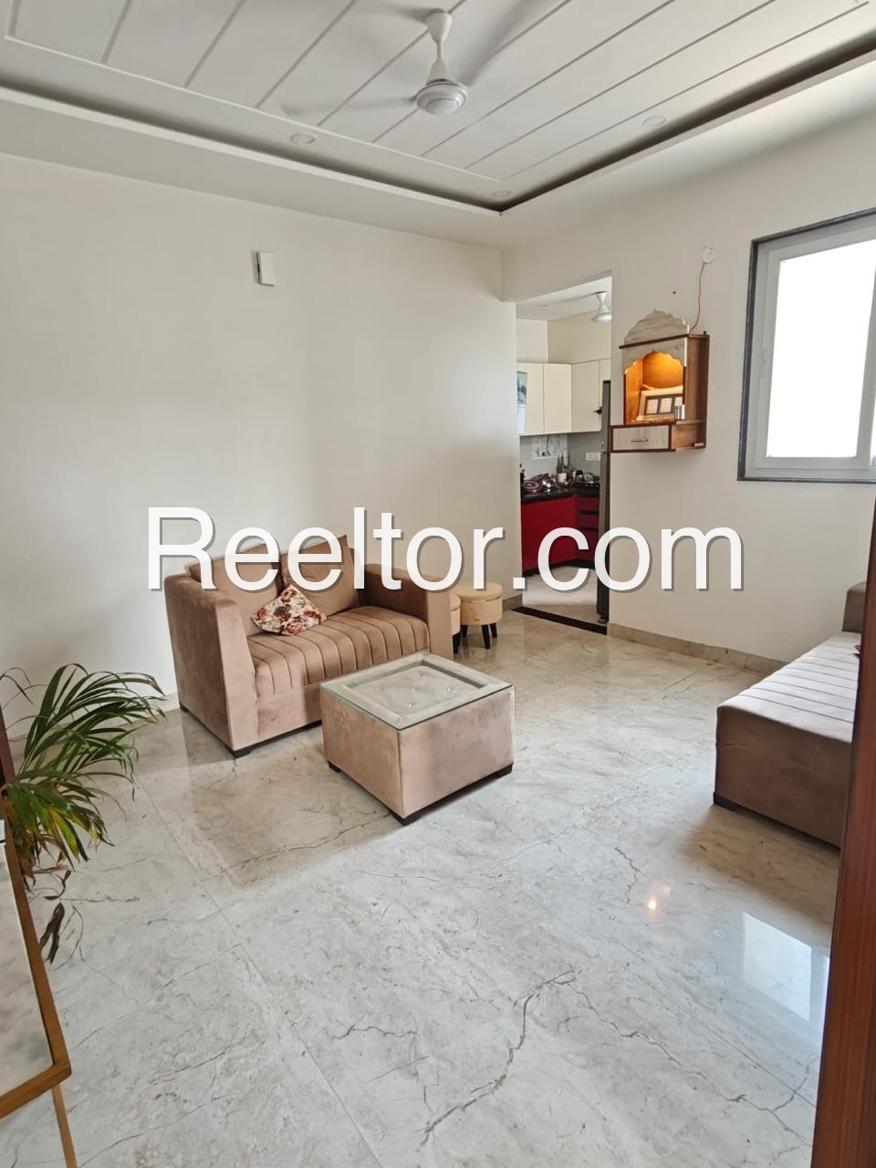 Shop For Sale In Dakipura Maulasar