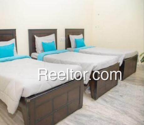Pg For Rent In Ali Brahaman Hathin