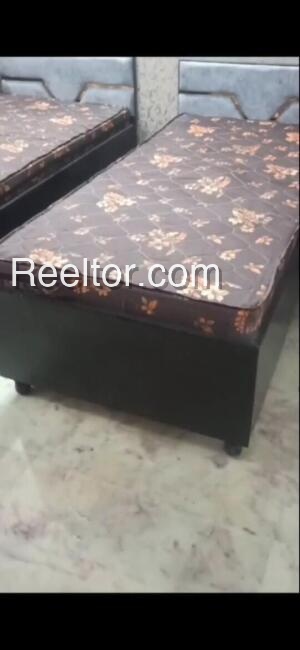 Pg For Rent In Lakarpura Karauli