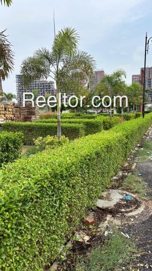 Plots For Rent In Putiapadara Purusottampur