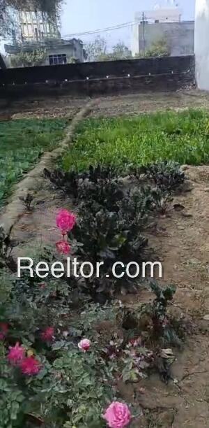 Lingampally Rent Houses 1 Bhk