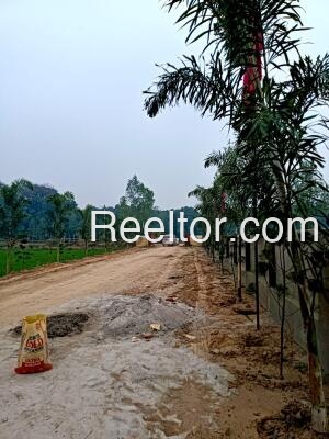 Plots For Rent In Jiniguda Kukudakhandi