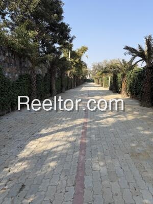 Plots For Sale In Fashi Tola Dhanora