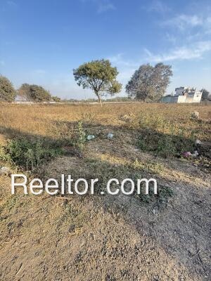 Plots For Sale In Pidarikkadu Aranthangi
