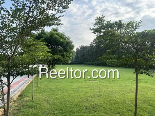 Shop For Sale In Shahpur Jagner Kheragarh