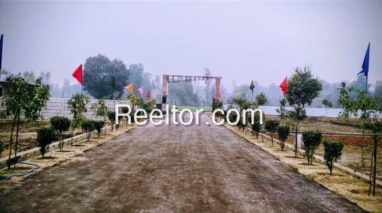 Plots For Rent In Saddopur Malerkotla