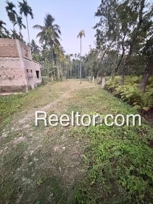 Plots For Rent In Radrapur Memari