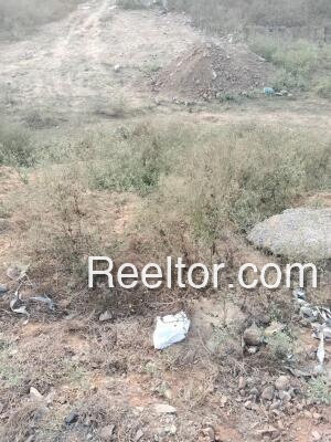 Plots For Sale In Khalipura Hurda