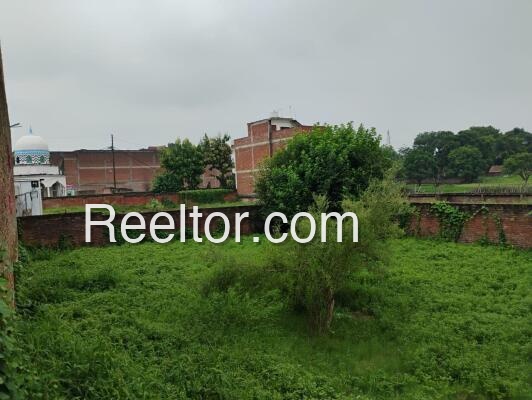 Plot Rate In Himachal Pradesh