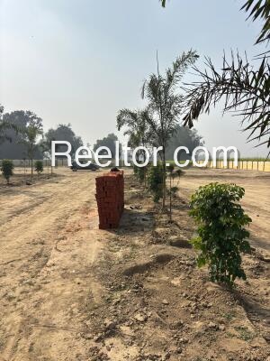 Plots For Sale In Borampalle Kotapalle