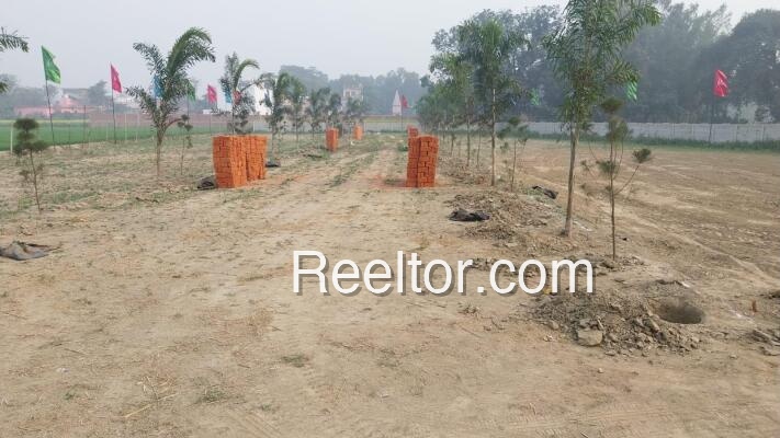 Plots For Sale In Kothi Lahr Udhampur