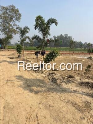 Plots For Rent In Boranawali Dhani Khetri