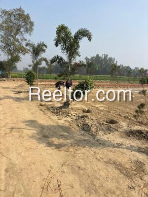 Plots For Rent In Champadanga Tarakeswar