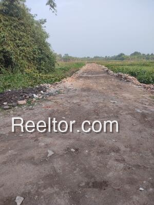Plots For Rent In Kynshluid Mawsynram