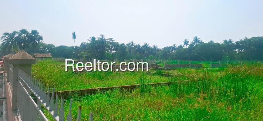 Plots For Rent In Haribara Dhari