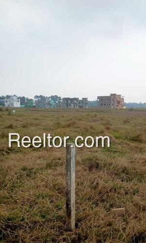 Plots For Sale In Pana Forest Basti Alipurduar