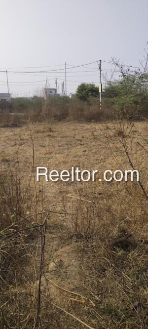 Plots For Sale In Akriya Peepal Khoont