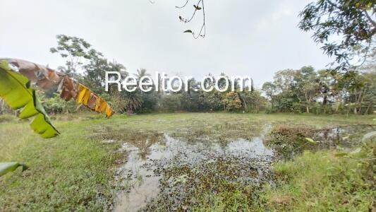 Plots For Sale In Khangar Ladnu