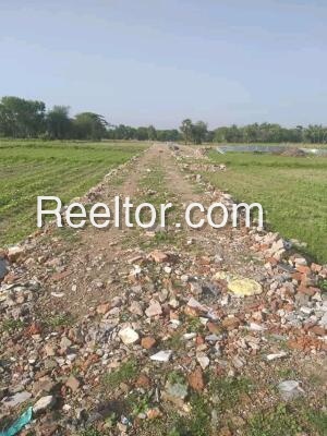 Plots For Rent In Kotha Lunavada