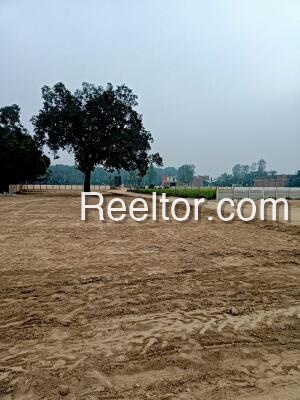Plots For Sale In Rawatpara Bhatli
