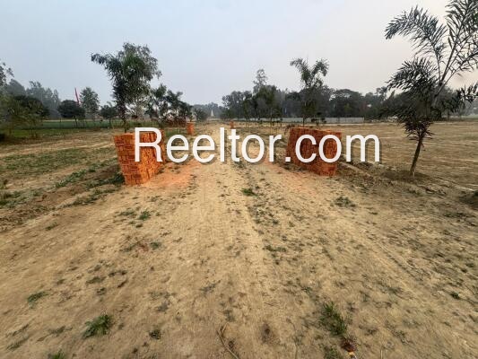 Plots For Sale In Regeda Padmapur