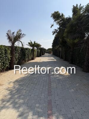 Plots For Rent In Kulhar Basoda