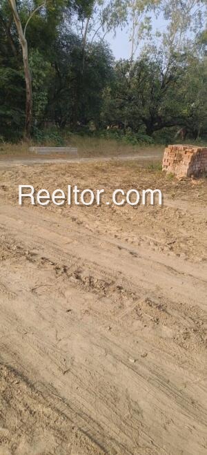 Shop For Sale In Shivadaspur Thakurdwara