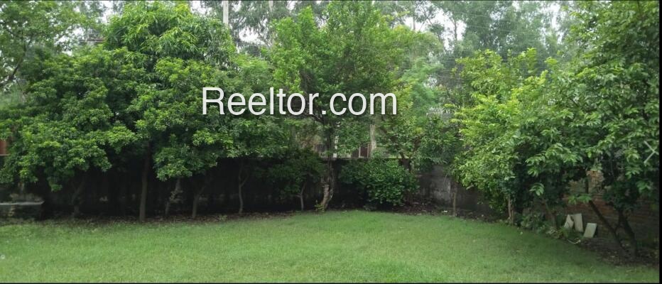 Salt Lake 1 Bhk Rent