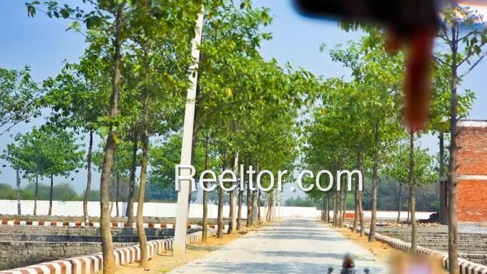 Plots For Sale In Tuichhama Dasda