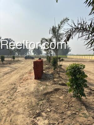 Plots For Rent In Araul Bilhaur