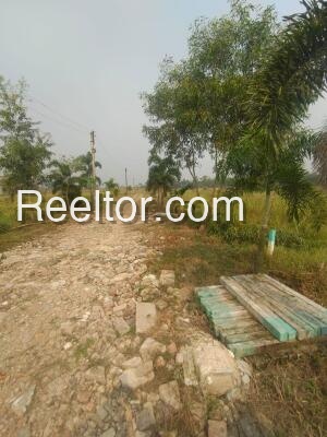Plots For Sale In Baghwan Okhamandal