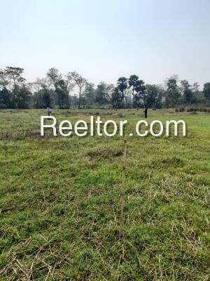 Shop For Rent In Bas Mahendragarh