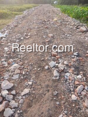 Plots For Sale In Mahasingha Baliguda