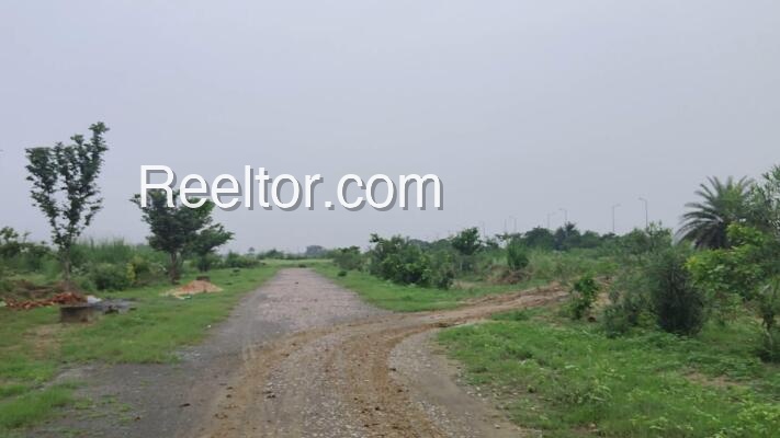 Plots For Sale In Philobari Doom Dooma