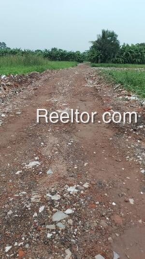 Plots For Sale In Rangat Andaman And Nicobar