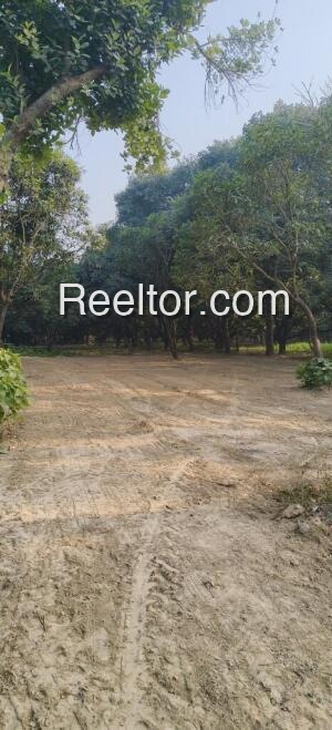 Plots For Sale In Murkong Selek Jonai