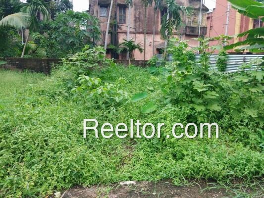 Plots For Sale In Neola Basti Mal