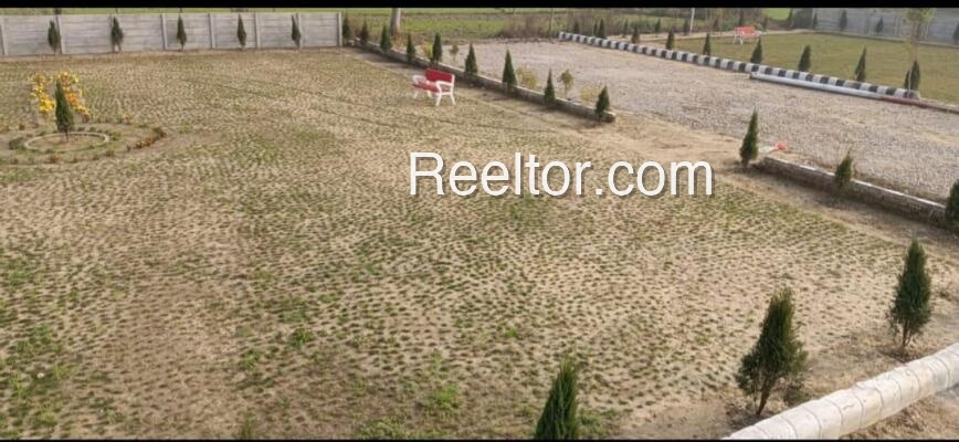 Plots For Sale In Muhali Sehore