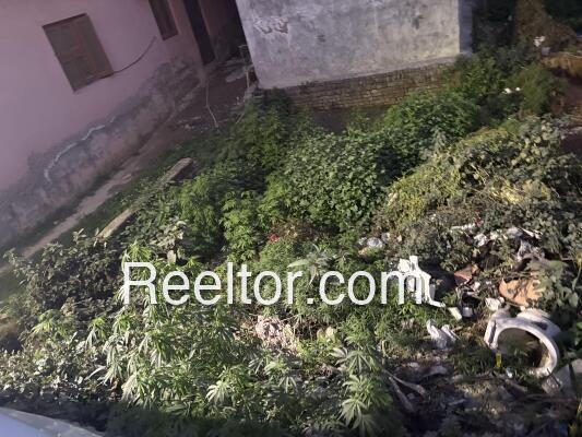 Himuda Plot For Sale In Shimla