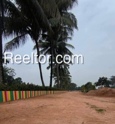 Plots For Rent In Yakitato Kaying