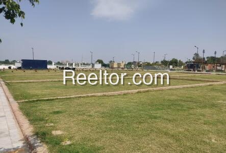 Plots For Rent In Tabri Pipu Dipu