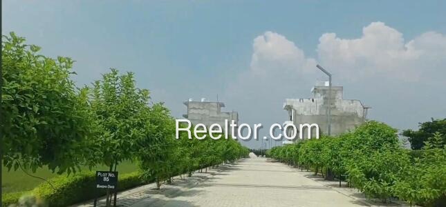 Plots For Rent In Kenwad Risod