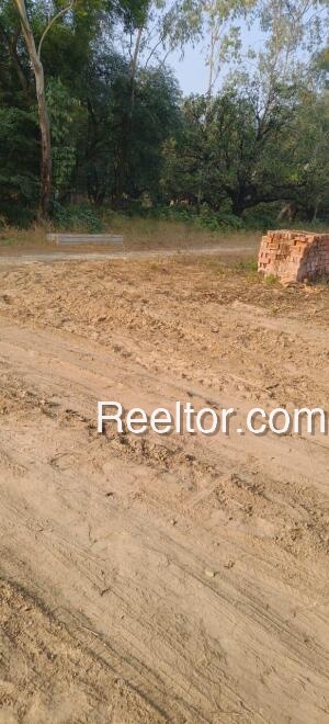 Plots For Rent In Rajamunda Lahunipara