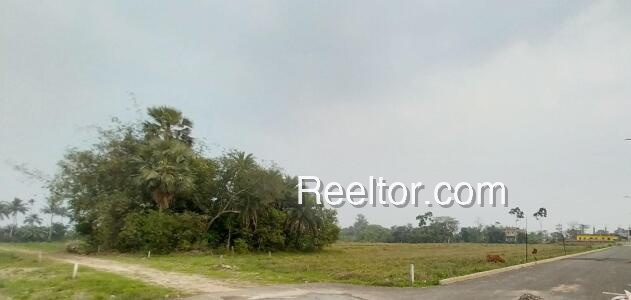 Plots For Sale In Ajit Garhi Chakarnagar