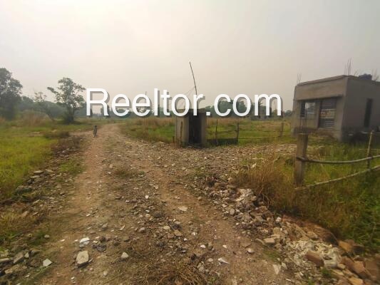Plots For Sale In Mooli Chitalwana