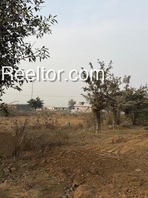 Pg For Rent In Plot 6th Portion Patharpratima