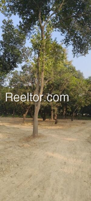 Shop For Rent In Anaitha Chakarnagar