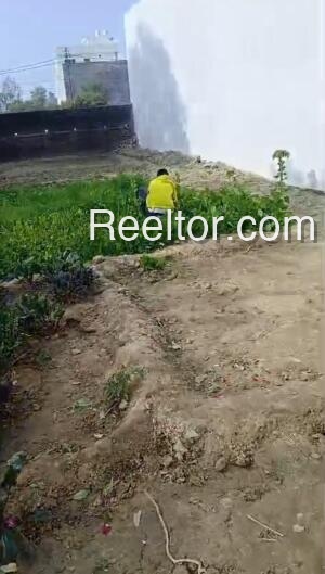 Shop For Rent In Kitvadi Dodamarg