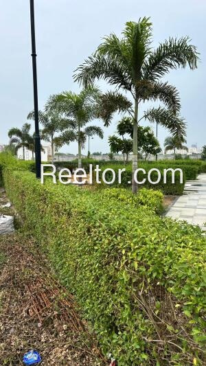 Shop For Rent In 1 Bld Poogal